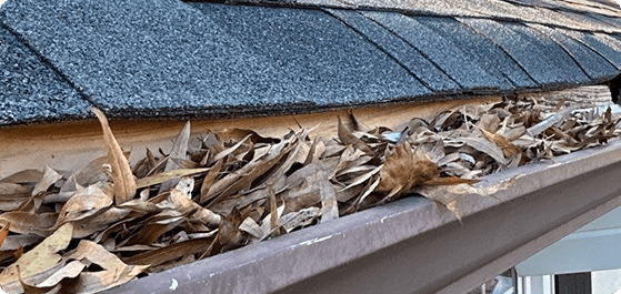rain gutter system that is heavily clogged